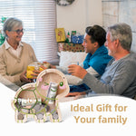 Wooden Turtle Piggy Banks for Kids