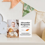 Custom Newborn Announcement, Custom Newborn Baby Name Sign