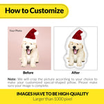 Custom Shaped Photo Pillow – Personalized Pet, People, or Any Picture Gift