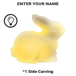DIY Bunny Lamp Kit for Kids - Personalize with LED Name. Great for Easter Baskets, Birthdays. Includes Art Supplies. A Realistic, Handmade Bunny Toy Gift for Boys & Girls.