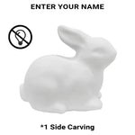 DIY Bunny Lamp Kit for Kids - Personalize with LED Name. Great for Easter Baskets, Birthdays. Includes Art Supplies. A Realistic, Handmade Bunny Toy Gift for Boys & Girls.