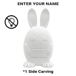 DIY Bunny Lamp Kit for Kids - Personalize with LED Name. Great for Easter Baskets, Birthdays. Includes Art Supplies. A Realistic, Handmade Bunny Toy Gift for Boys & Girls.