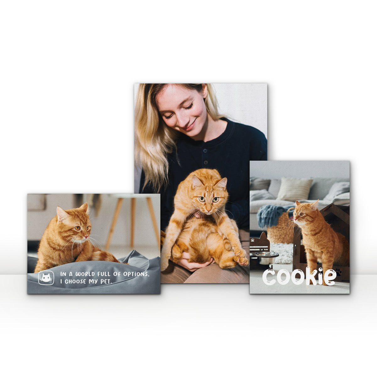 3 Panel Hanging Wall Art Set Custom Canvas Prints with Your Pets Photos