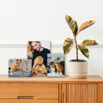 3 Panel Hanging Wall Art Set Custom Canvas Prints with Your Pets Photos