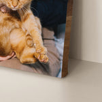 3 Panel Hanging Wall Art Set Custom Canvas Prints with Your Pets Photos