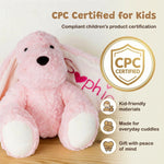 Customizedbee Personalized Stuffed Dog with Name, Embroidered Ear (Name/Date/Text), Soft Plush Puppy, 10/12.5/16 Inches, Easter Basket Gift for Toddlers Kids, Baby Shower Birthday Gift