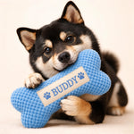 Dog Dad Father's Day Gift — Personalized Squeaky Bone Toy